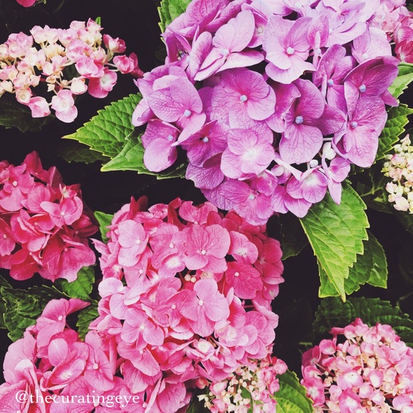 Meet your Posher, Jenny - Picture 1 of 1